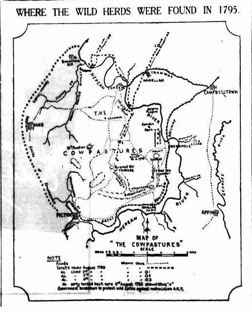 1932_SMH_CowpastureCattle_map