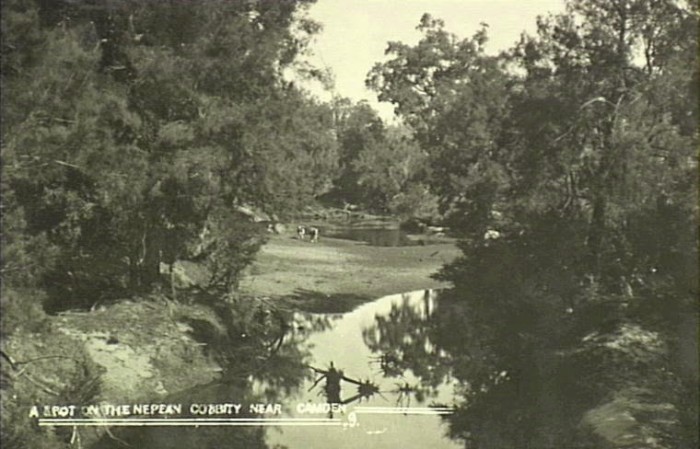 Nepean River near Cobbitty 1900 (Camden Images)