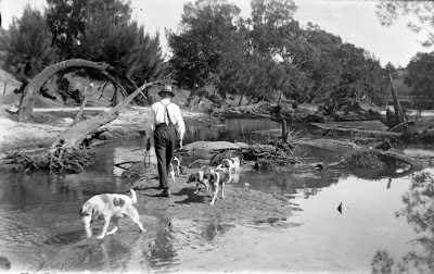 Nepean River near Cowpasture Bridge 1900