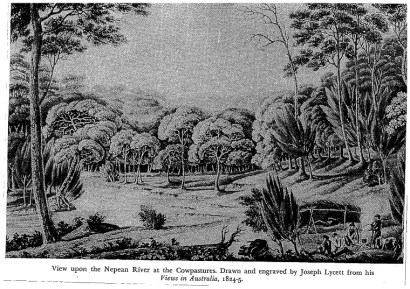 Nepean River Cowpastures[1]