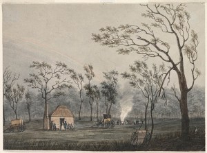 View of the Government Hut at Cowpastures, 1804. State Library of NSW SSV1B / Cowp D / 1