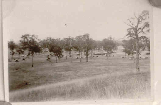 Tents in the bush Narellan Military  Camp 1942 A Bailey