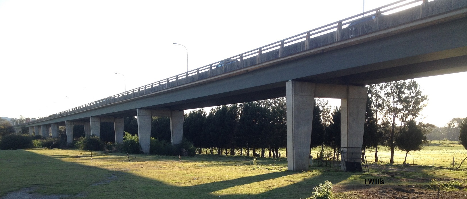 Macarthur Bridge View from Nepean River Floodplain 2015 IWillis