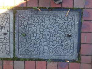 Inspect Cover Telecom