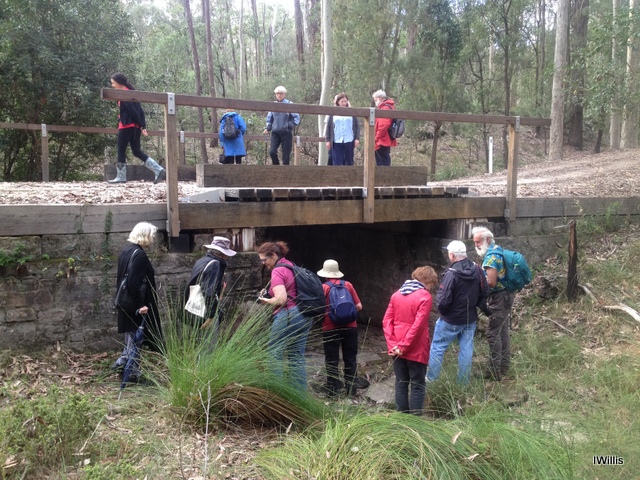 beulah-convict-bridge-2016