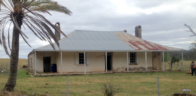 Beulah Appin 2016 (I Willis)