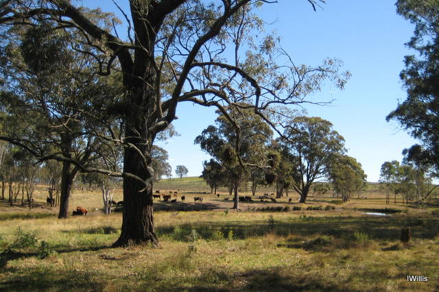 mount-gilead-farmland-2016