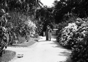Sydney Botanic Gardens 1934 Sam Hood SLNSW