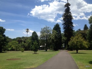 Path through Sydney Botanic Gardens 2015 IWillis
