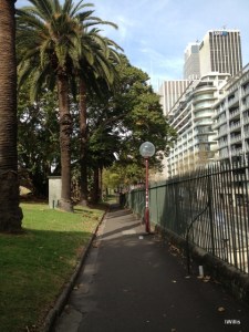 Tarpeian Way Sydney Botanic Garden 2015 IWillis
