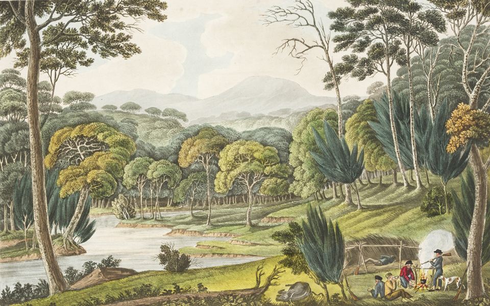 1824-view-of-cowpastures-joseph-lycett