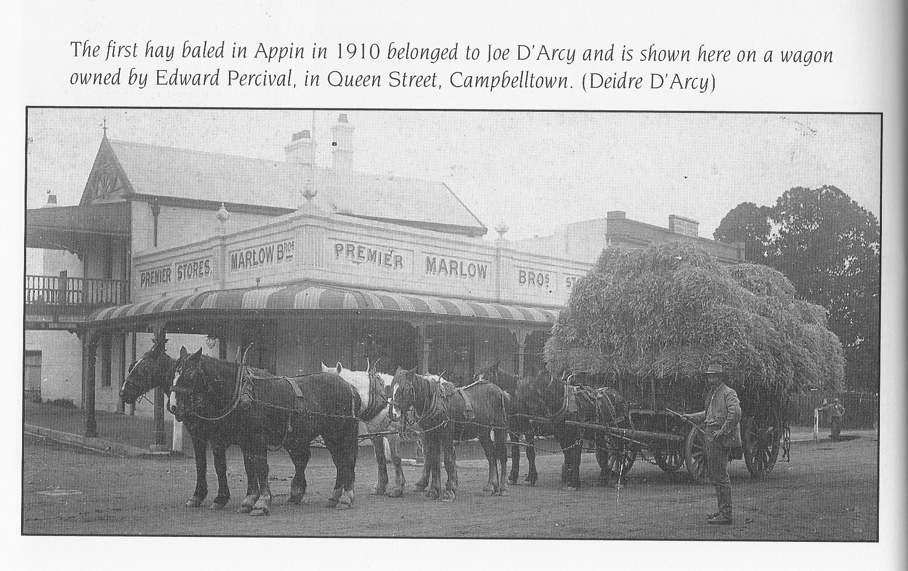 Campbelltown Percival Wagon_0001
