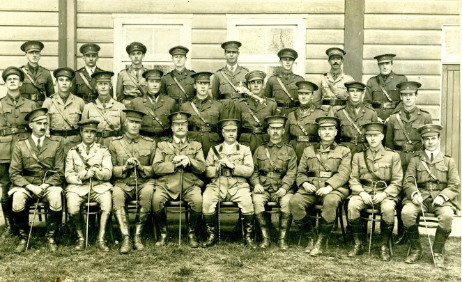 1917 Officers of Light Horse Camp, Menangle. European War CIPP lowres