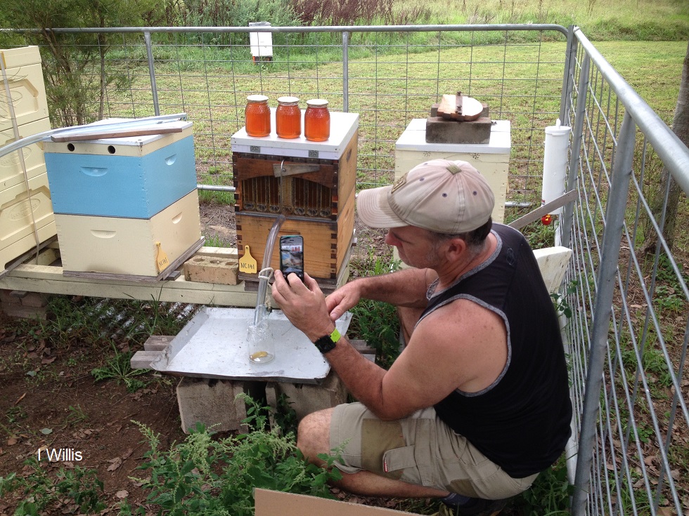Camden Community Garden FlowHive 2018[2]