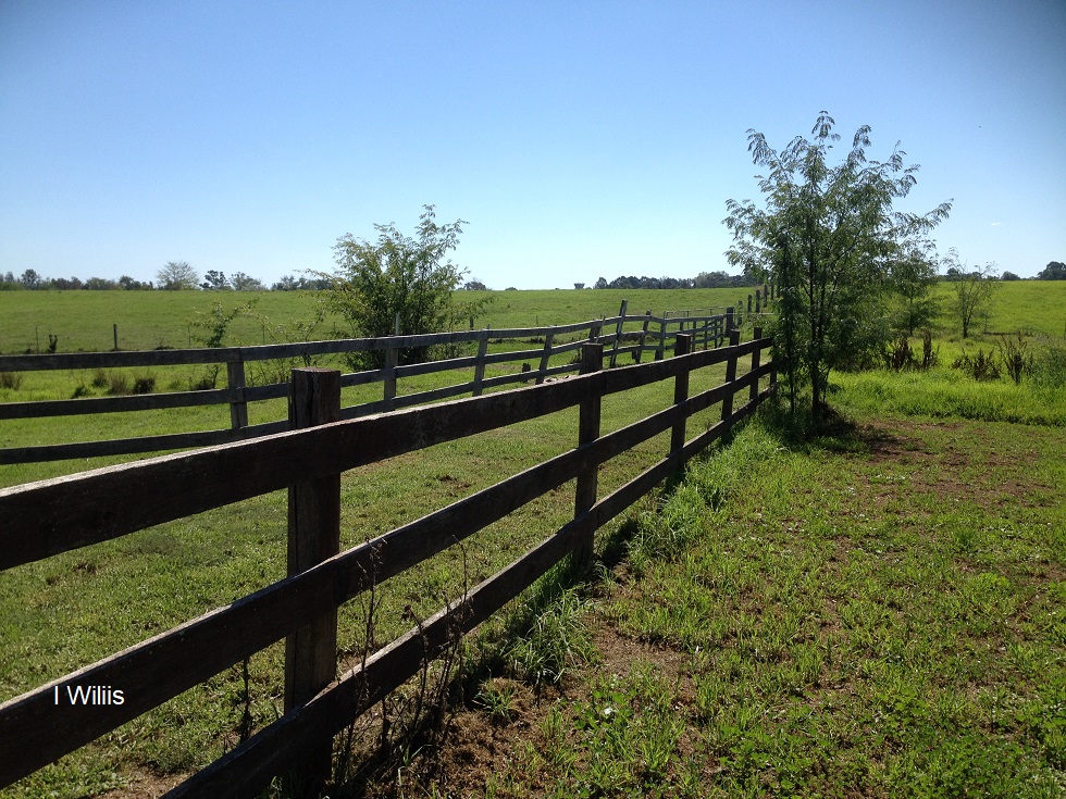 Camden Communiyt Garden Fences 2018