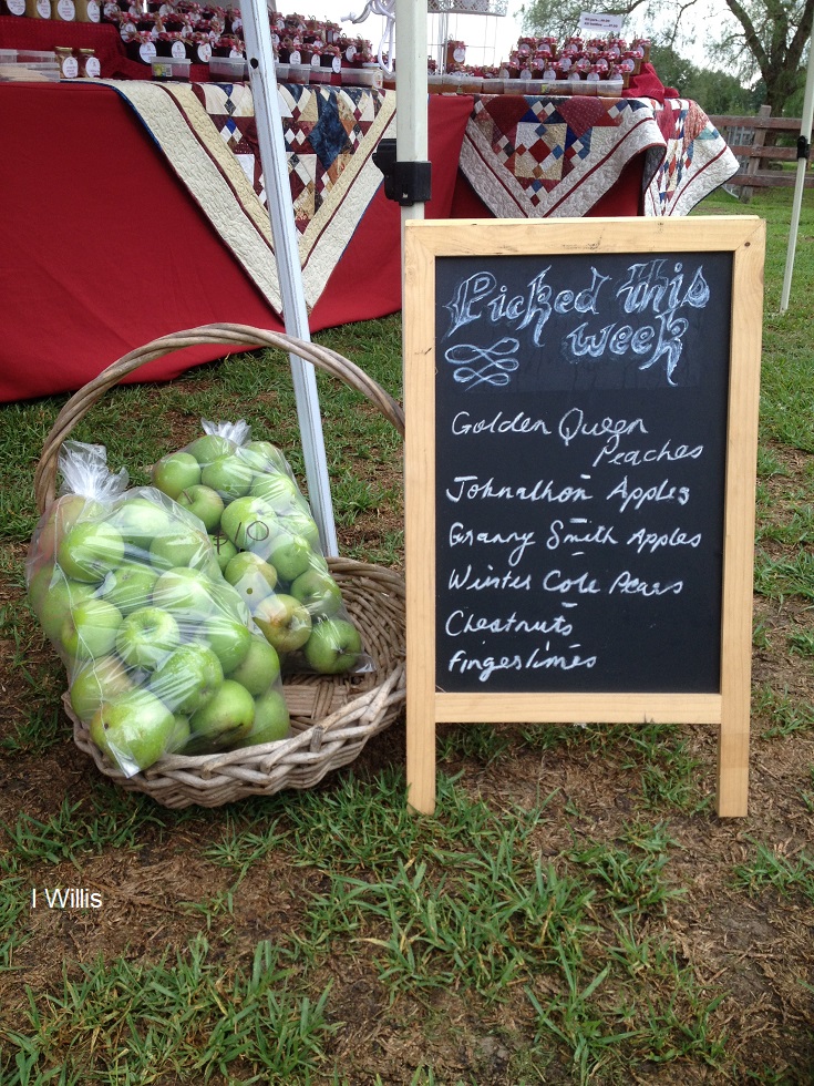 Camden Produce Market Pick of the Week 2018