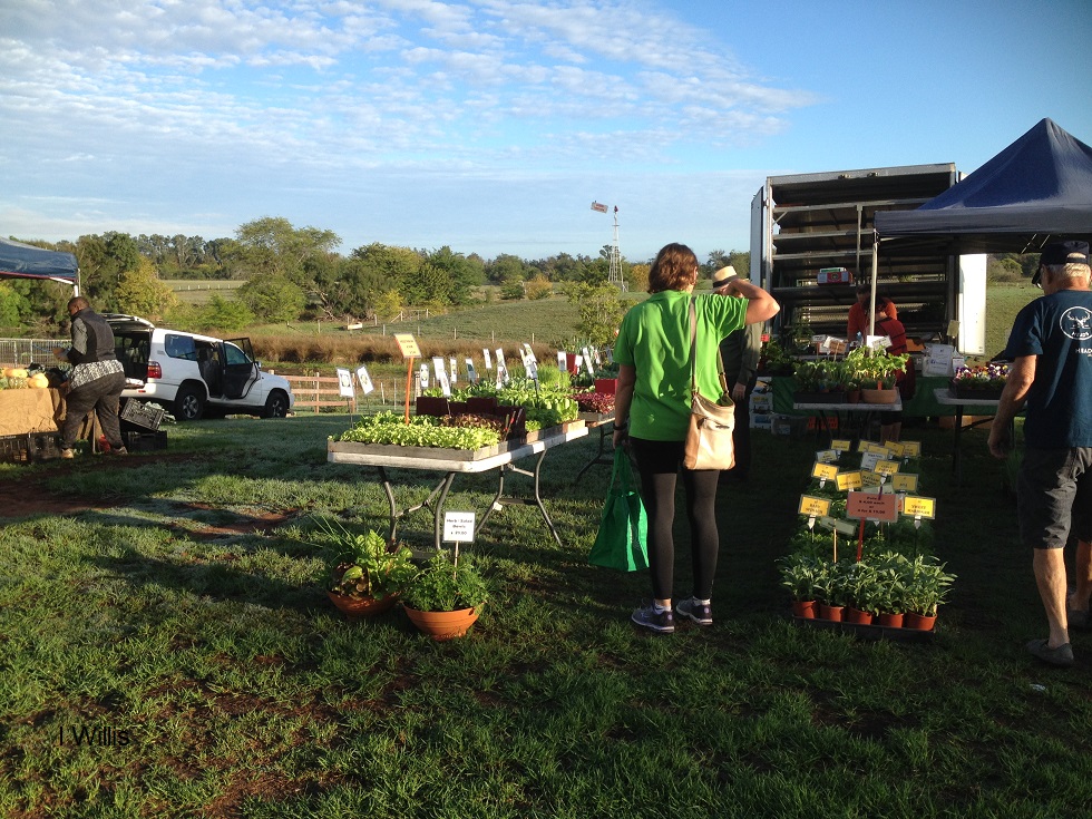 Camden Produce Market stall 2018
