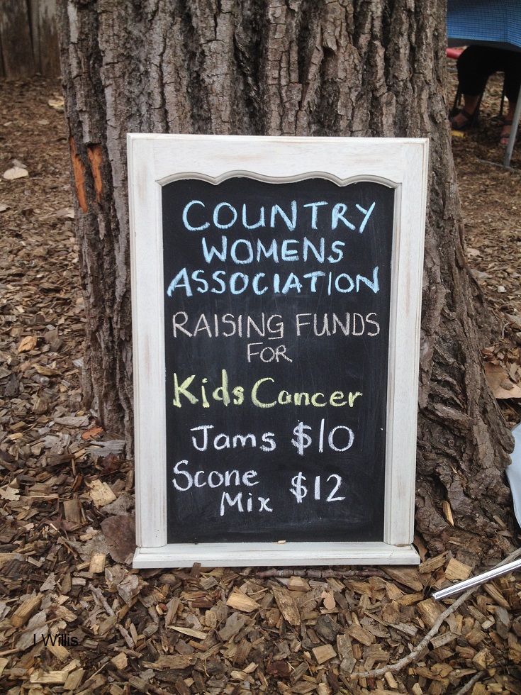 Camden Show 2018 CWA