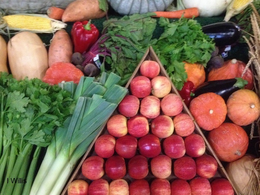 Camden Show 2018 Produce