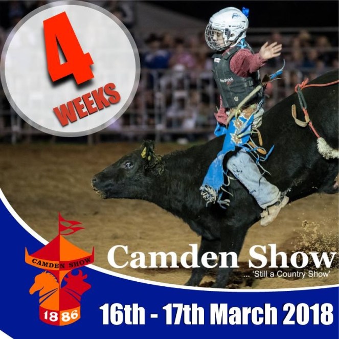Camden Show 2018 promo