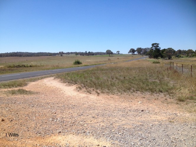 Mummel Range Rd Goulburn 2018 IWillis[2]
