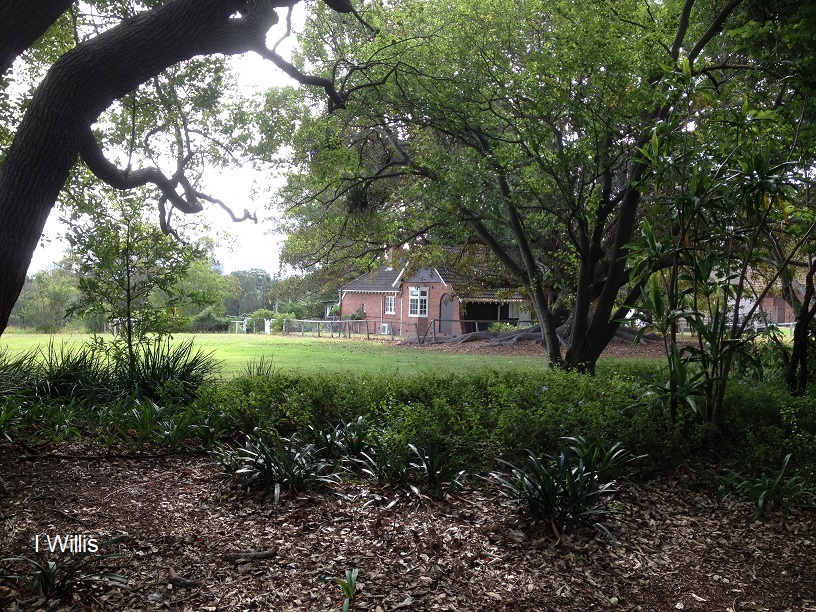 Concord Yarralla Estate Boronia2 (2018)