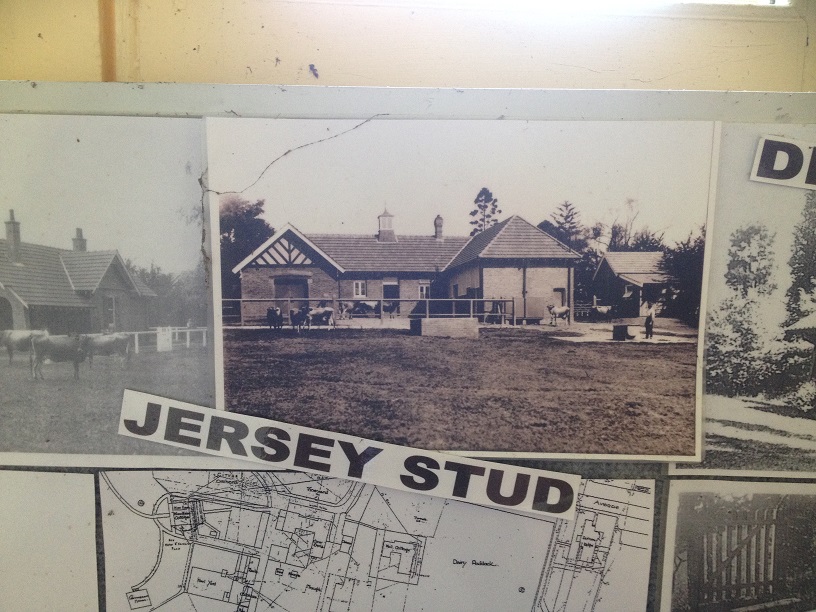 Concord Yarralla Estate Dairy 1917 (2018) CCBHS