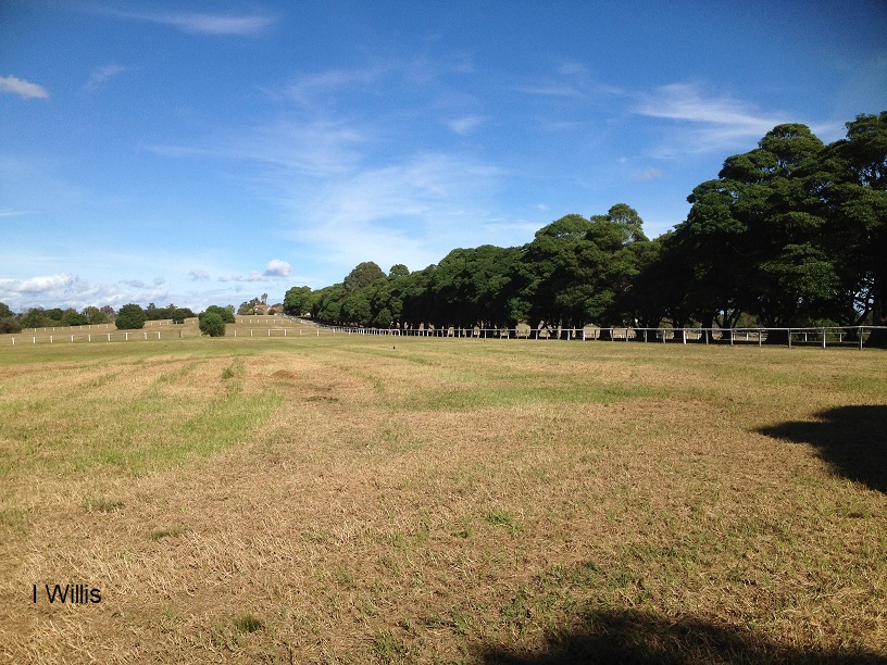 Concord Yarralla Estate Front Paddock (2018)