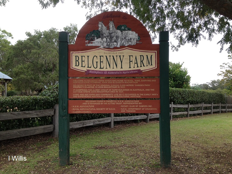 Camden Belgenny Farm 2018 sign