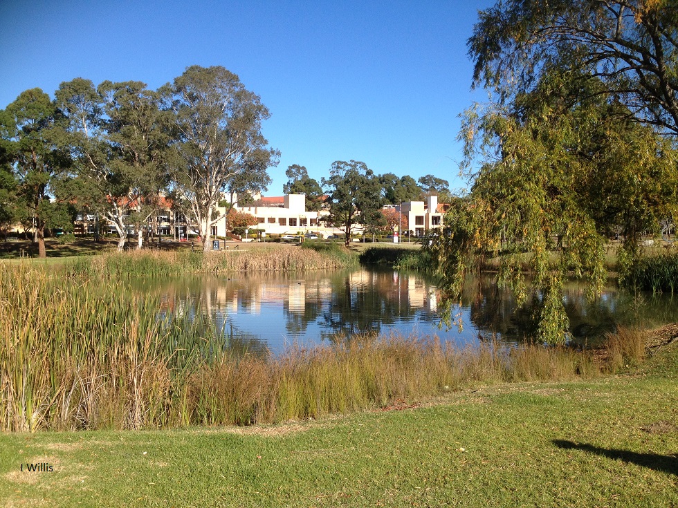 Campbelltown WSU Sculptures & Grounds 2018[2]