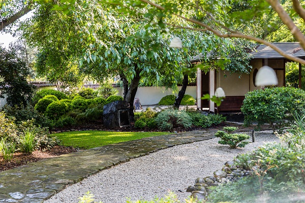 Campbelltown Arts Centre Japanese Garden3 2018 CAC
