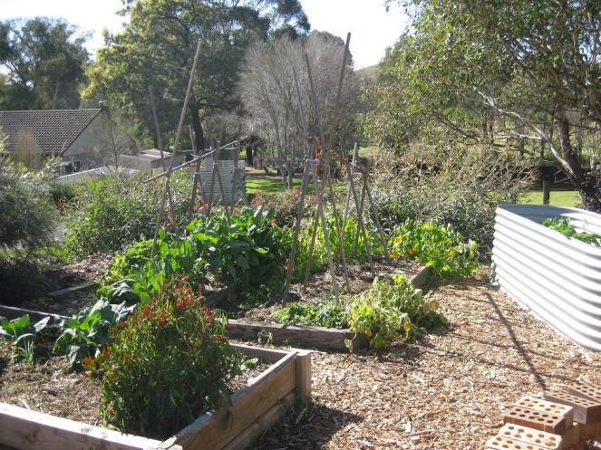 Mac Centres for Sust Living 2017 Mount Annan