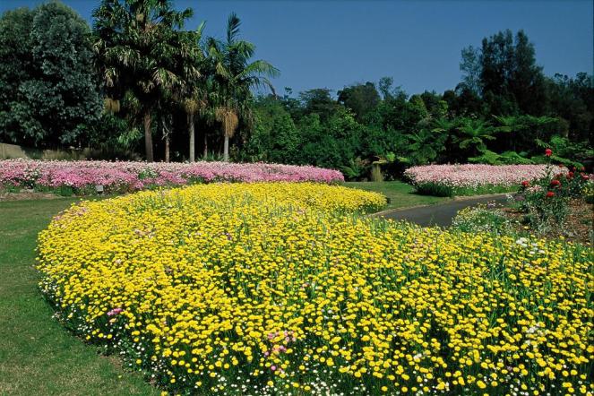 mt_annan_botanic_garden2