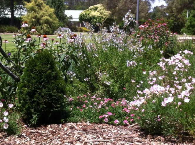 Picton Botanic Garden 2017 Pinterest