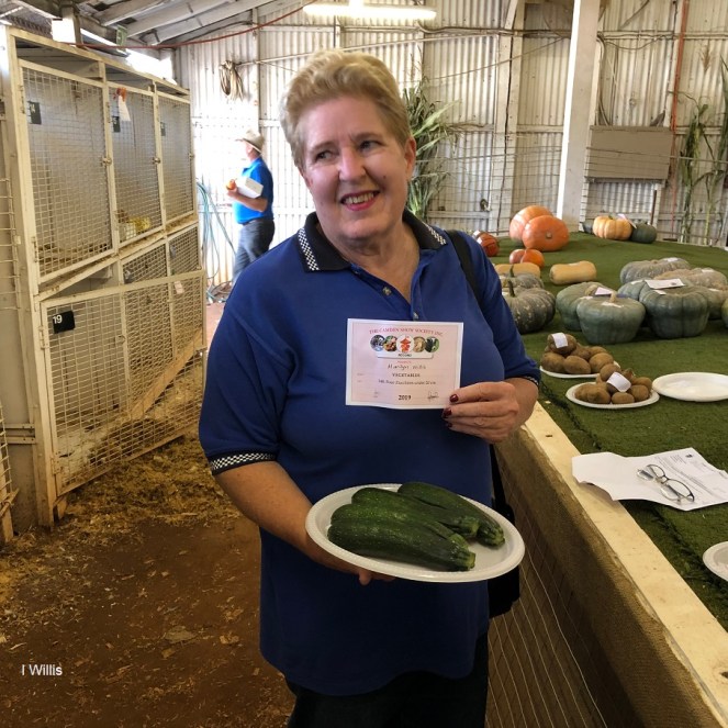 Camden Show Marily Willis 2019 IW