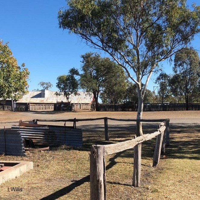 Toowoomba Jondaryan Woolshed 2019