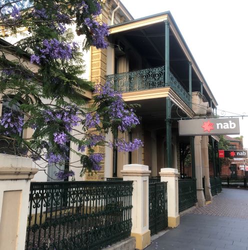 Camden CBC Bank 2019 Jacarandas IW lowres