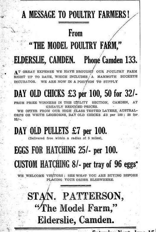 Camden Stan Patterson Poultry Farm Display Advert CN1935Jun13