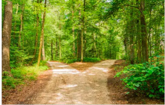 Counterfactural Penning 2020